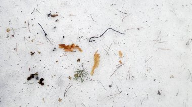 kar arka planda orman