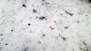 kar arka planda orman