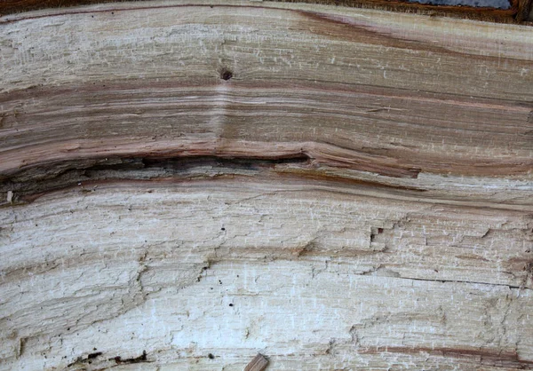 Drewno Kominkowe Tekstura Tło Makro — Zdjęcie stockowe