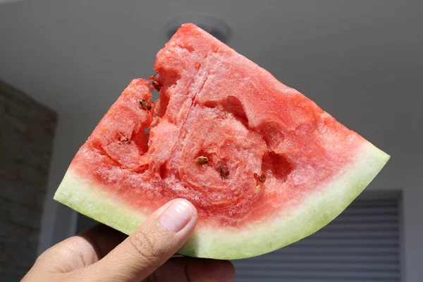 Fräsch vattenmelon i handen — Stockfoto