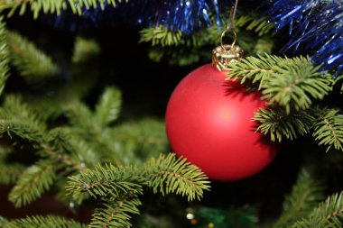 Noel ağacı kartı arka plan
