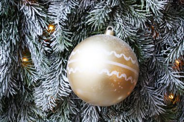 Noel ağacı arka planı