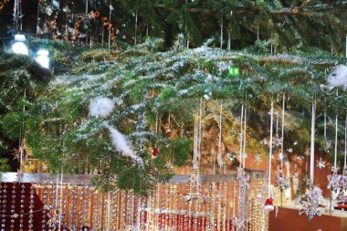 Noel ağacı kartı arka plan