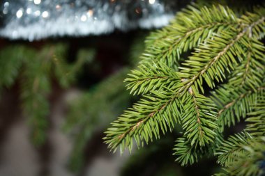 Noel ağacı kartı arka plan