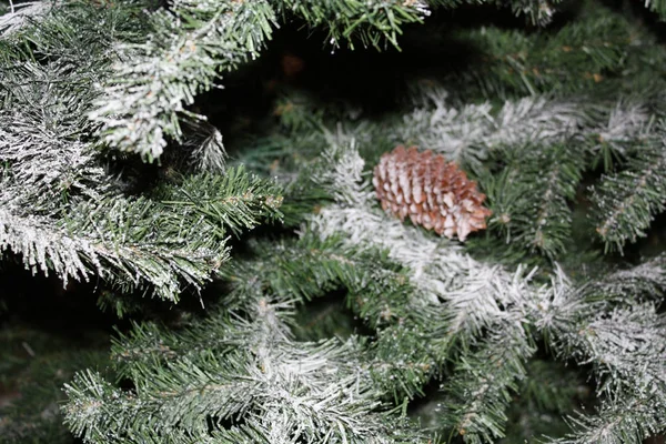 Weihnachtsbaum Karte Hintergrund Mit Tannenzapfen — Stockfoto