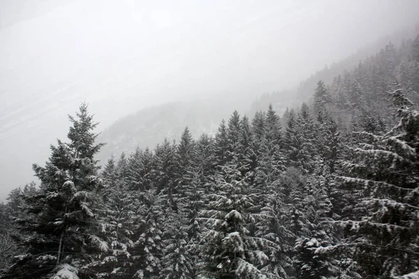 Χειμώνας Στις Άλπεις Χιόνι — Φωτογραφία Αρχείου