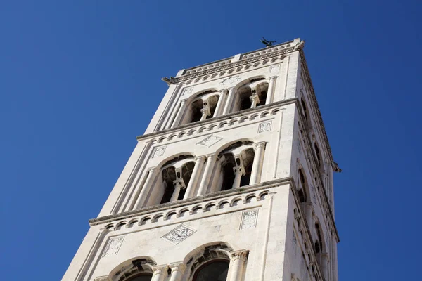Kyrkan Med Klockstapeln Zadar Kroatien — Stockfoto