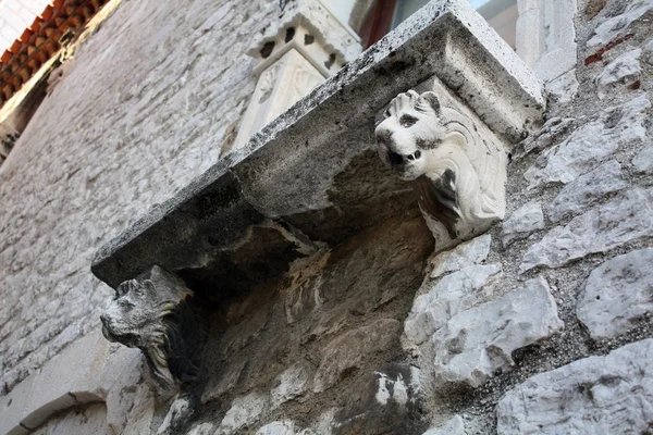 Aslan Zadar Hırvatistan Evde Üzerinde Balkon — Stok fotoğraf