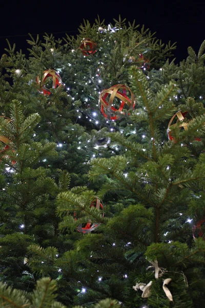 Χριστουγεννιάτικο Δέντρο Στις Διακοπές — Φωτογραφία Αρχείου