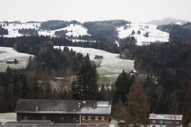  Avusturya ve İsviçre Alpleri'nde karda orman