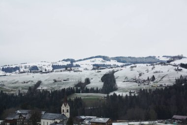  Avusturya ve İsviçre Alpleri'nde karda orman