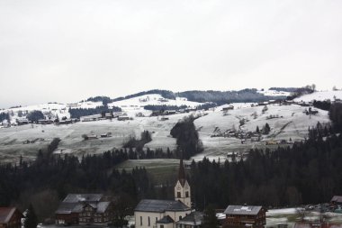  Avusturya ve İsviçre Alpleri'nde karda orman