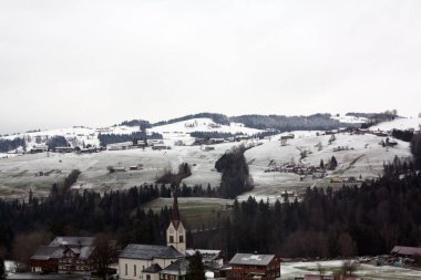  Avusturya ve İsviçre Alpleri'nde karda orman