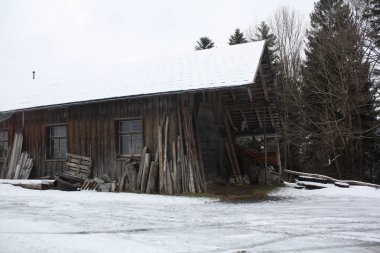 Avusturya ve İsviçre Alpleri'nde karda orman