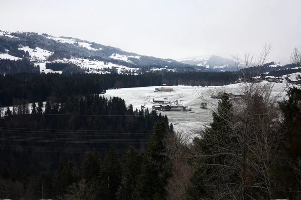 Floresta Neve Nos Alpes Áustria Suíça — Fotografia de Stock