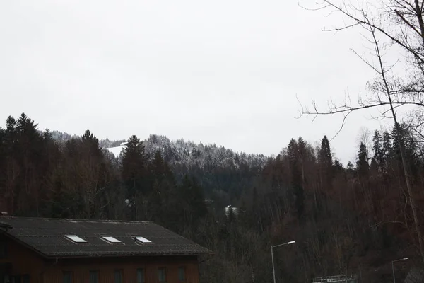 Bosque Nieve Los Alpes Austria Suiza —  Fotos de Stock