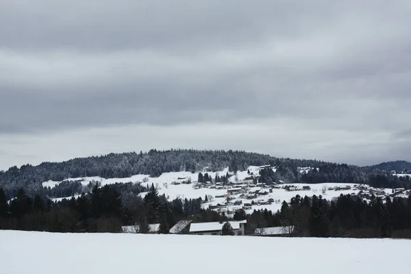 Foresta Sulla Neve Nelle Alpi Austria Svizzera — Foto Stock