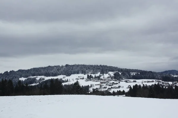 Skogen Snön Alperna Österrike Och Schweiz — Stockfoto