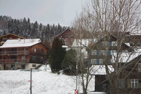 オーストリアとスイスでアルプスの雪の森 — ストック写真