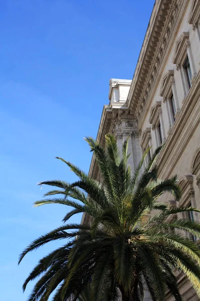 Palm Building Italy Rom Sunny Day — Stock Photo, Image