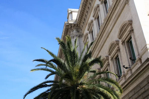Palm Κτίριο Ιταλία Rom Ηλιόλουστη Μέρα — Φωτογραφία Αρχείου