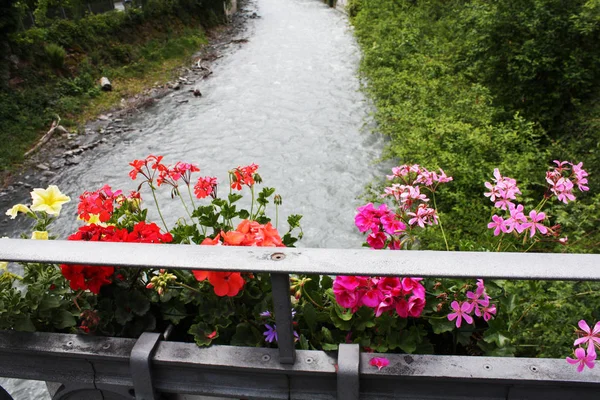 Puente Con Flores Río Suiza —  Fotos de Stock