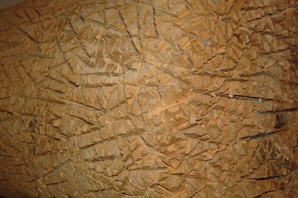 Velho Escovado Textura Madeira Marco — Fotografia de Stock