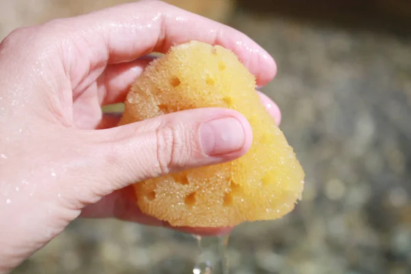 Sea sponge in the hand in sea water on the beach background.