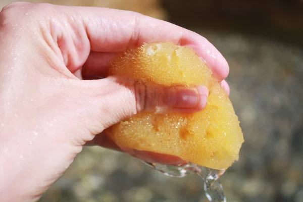Sea sponge in the hand in sea water on the beach background.