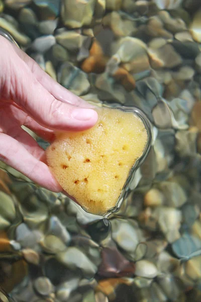Sea sponge in the hand in sea water on the beach background.
