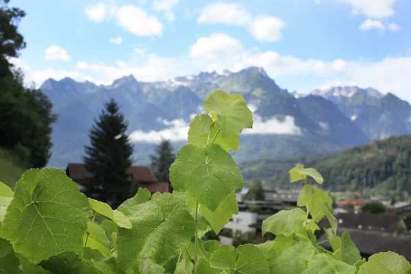 Austria Paisaje Con Alpes Austríacos Verano Las Montañas —  Fotos de Stock