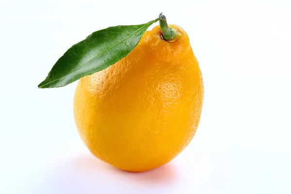Limone con foglia — Foto Stock