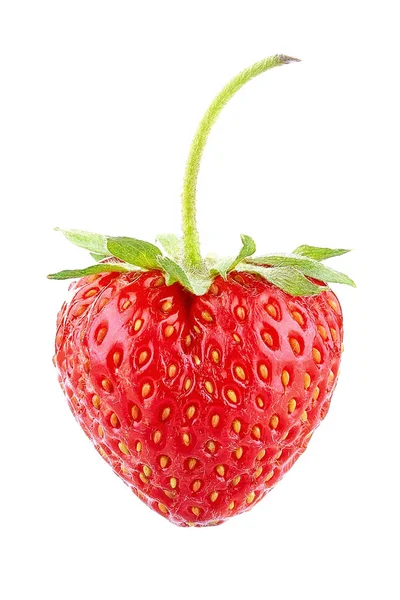 Strawberry isolerade vit bakgrund — Stockfoto