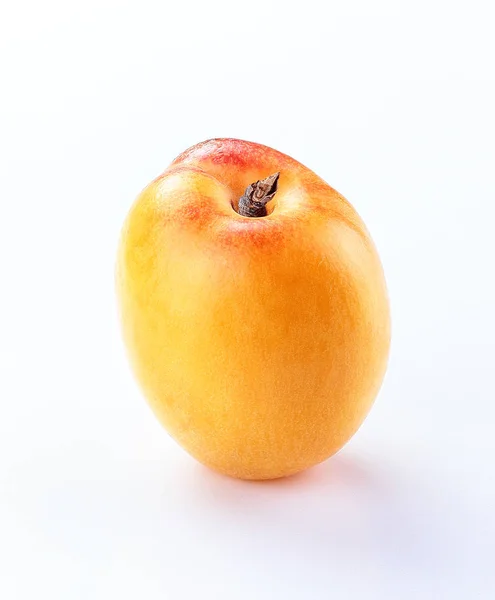 Apricot isoliert weißen Hintergrund — Stockfoto