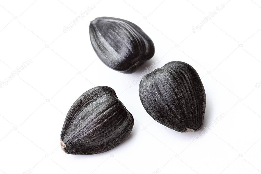 sunflower seeds isolated white background