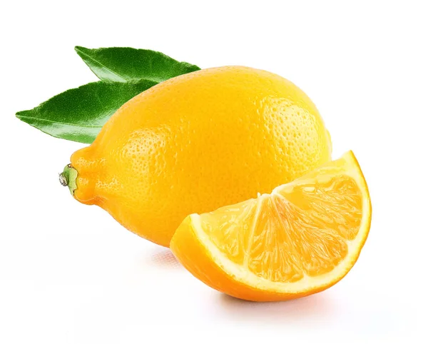 Dilimlenmiş Limon Yaprak — Stok fotoğraf