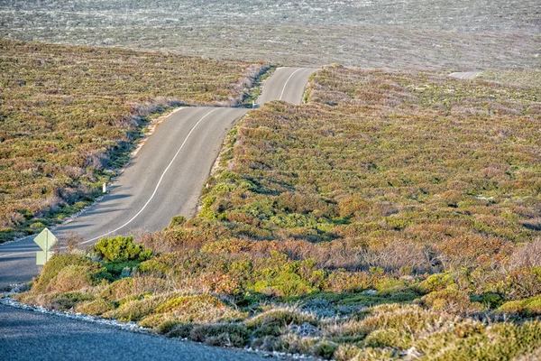 Sul da Austrália Deserto estrada interminável na ilha canguru — Fotografia de Stock