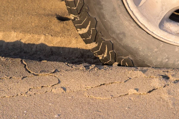 Offroad autó gumiabroncs részletesen a homokos strand — Stock Fotó