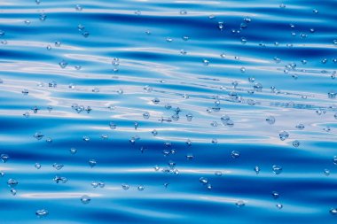 masmavi Denizi geri velella denizanası