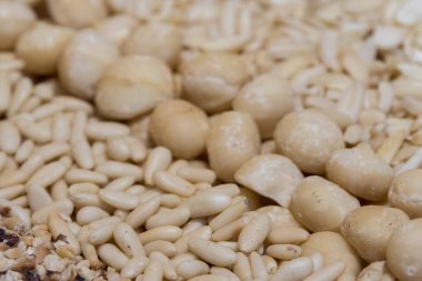 Macadamia fıstığı detay kadar kapatın