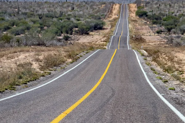 Baja Califórnia deserto interminável estrada paisagem vista — Fotografia de Stock