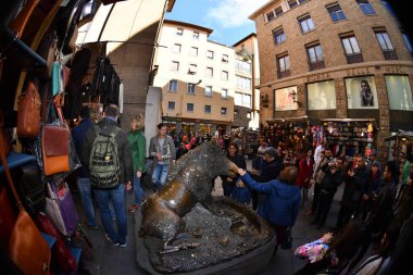 Florence, İtalya - 27 Mart 2017 - turist servet yaban domuzu domuz Floransa'da dokunmadan