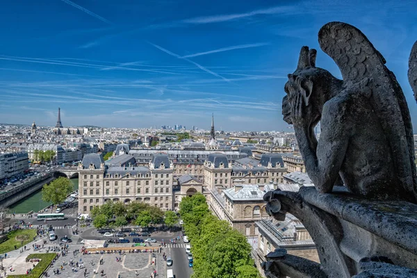 Prohlédni paris Notre dame gorgoyle — Stock fotografie