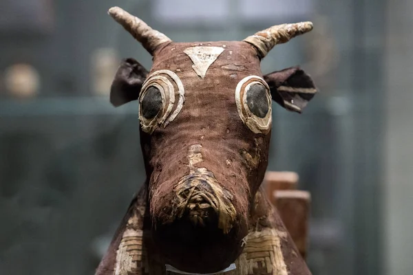 Egyptian mummy bull cow found inside tomb — Stock Photo, Image