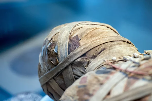 Egípcio múmia cabeça de perto — Fotografia de Stock