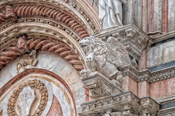 Siena dome kathedraal externe weergave detail van standbeeld gevleugelde leeuw — Stockfoto