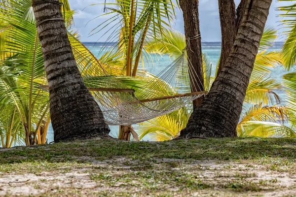 Rede no paraíso tropical praia polinésia — Fotografia de Stock