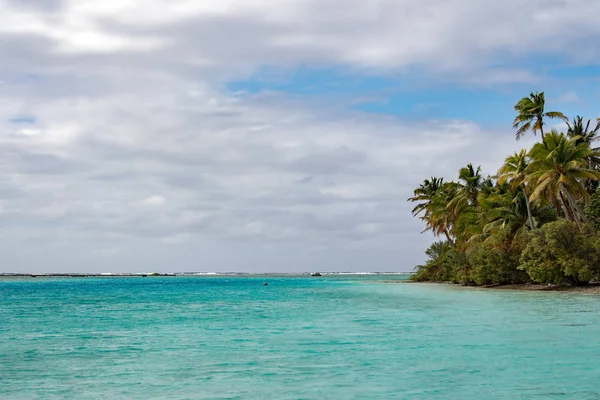 Kokosnöt träd på polynesiska tropiskt paradis strand — Stockfoto