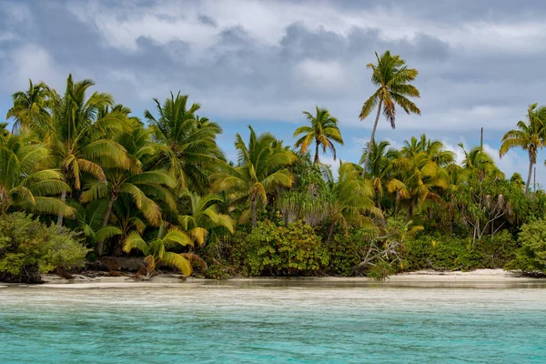 Kokospalme am Strand des polynesischen tropischen Paradieses — Stockfoto