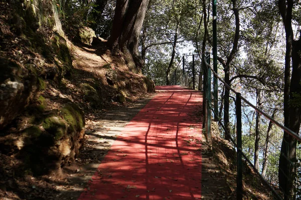 Tapis rouge à portofino — Photo